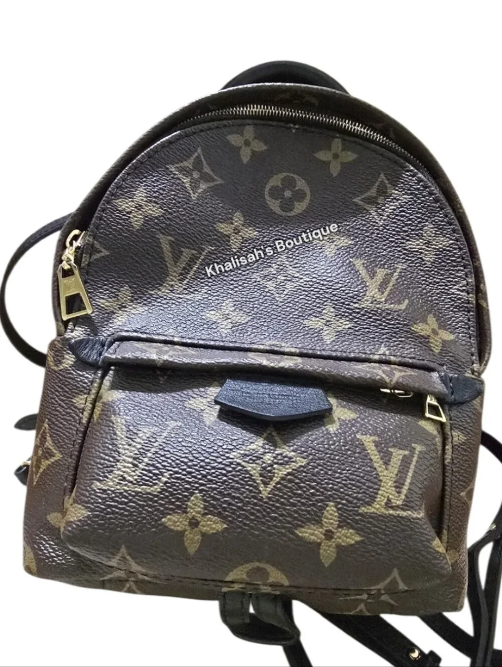 Authenticated Louis Vuitton PALM MONOGRAM SPRINGS MINI Backpack Bumbag Crossbody